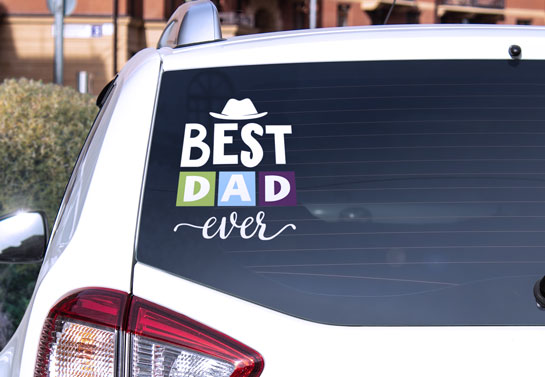 Best Dad Ever unique Father's Day gift