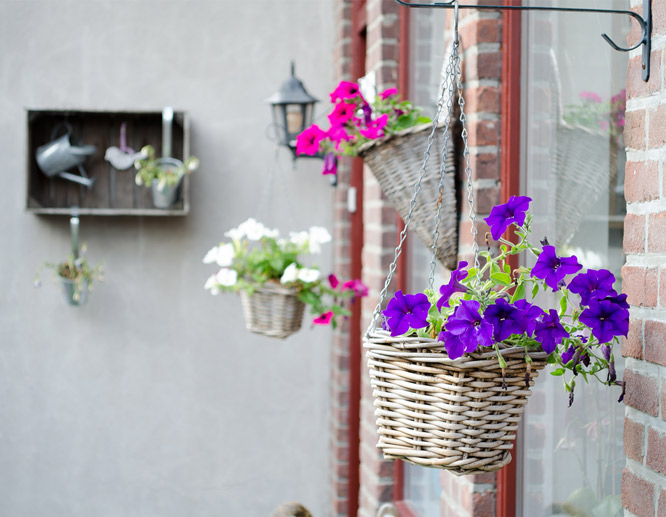 Hanging colorful porch decorating flowers