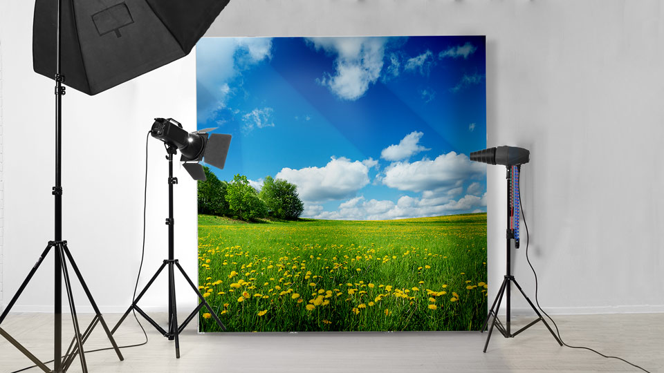 Pop up backdrop of a green field and flowers set up in a studio