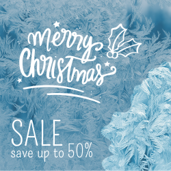 Christmas Thematic Sale Template
