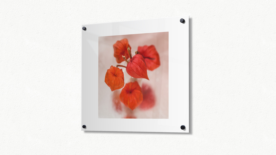 Custom Metal Photo Prints