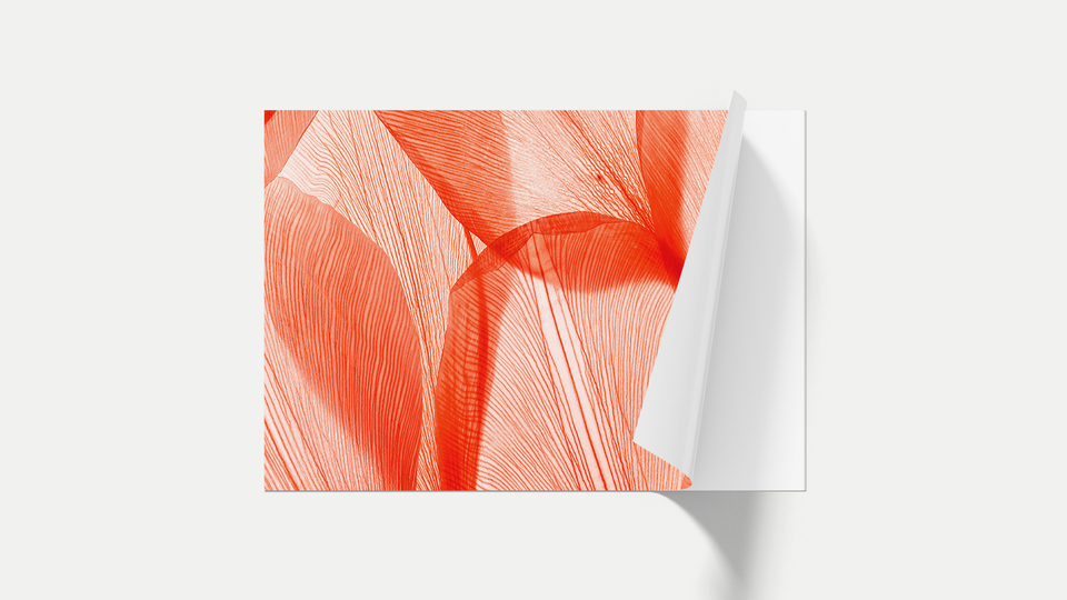 Custom wall art decal
