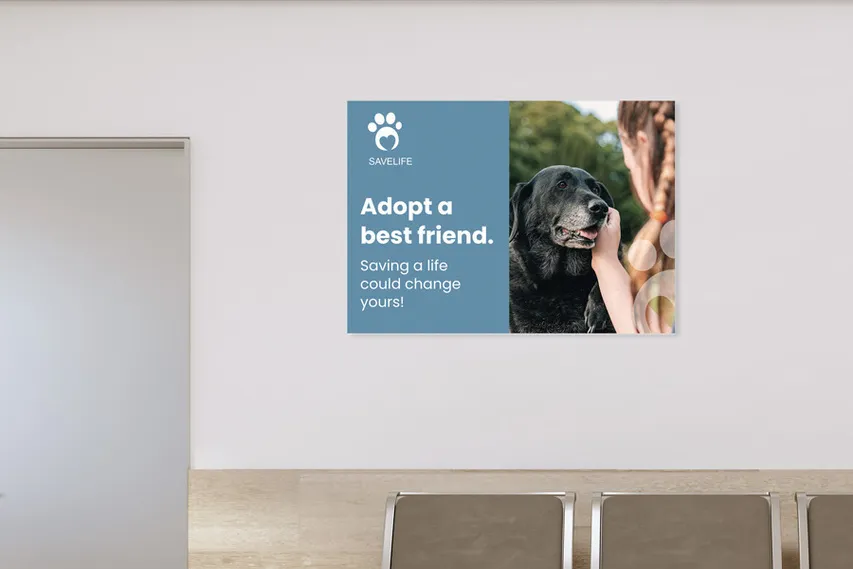 Pet Care Foam Board Print