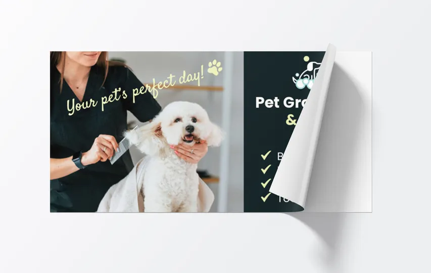 Window Decals  1