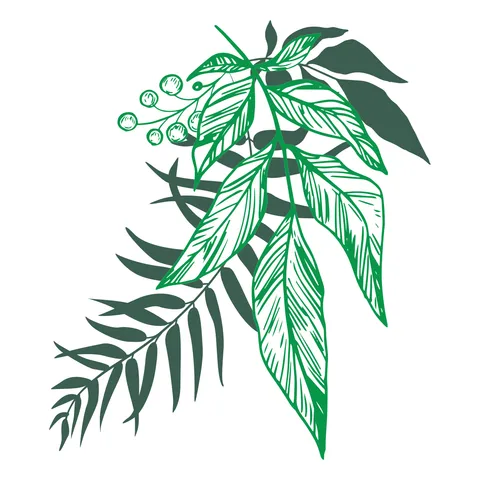 Tropical Jungle Leaf Set Nature Sign Template