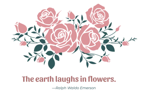 Pink Roses With Ralph Waldo Emerson Quote Nature Template