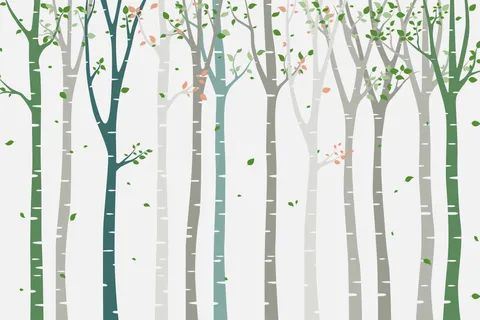 Birch Tree Forest With Creative Colors Nature Template