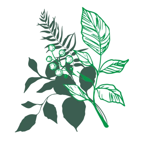 Spring Leaves and Ferns Natural Element Sign Template