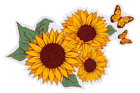 Sunflowers and Butterflies Illustrated Template