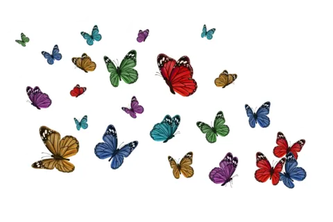 Colorful Butterflies Flying Sign Template