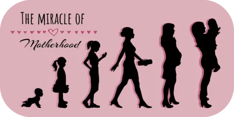 Pink Background Life Stages of Womanhood Sign Template