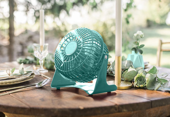 Mint fan for outdoors Mint-fan-for-outdoors