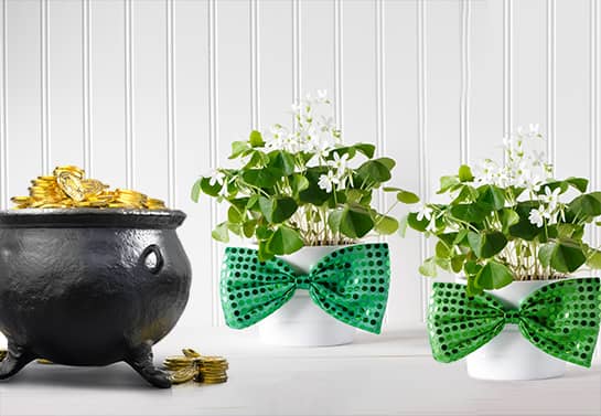 St. Patrick's Day table decoration ideas with plant pots St