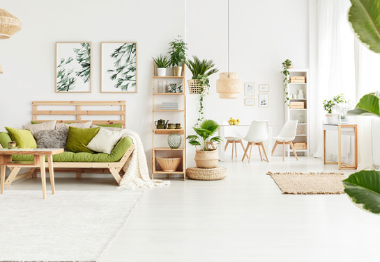 amazing-decorative-plants-for-living-room