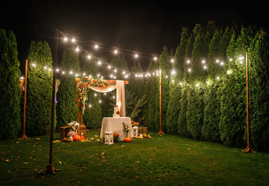 backyard wedding lights backyard-wedding-lights