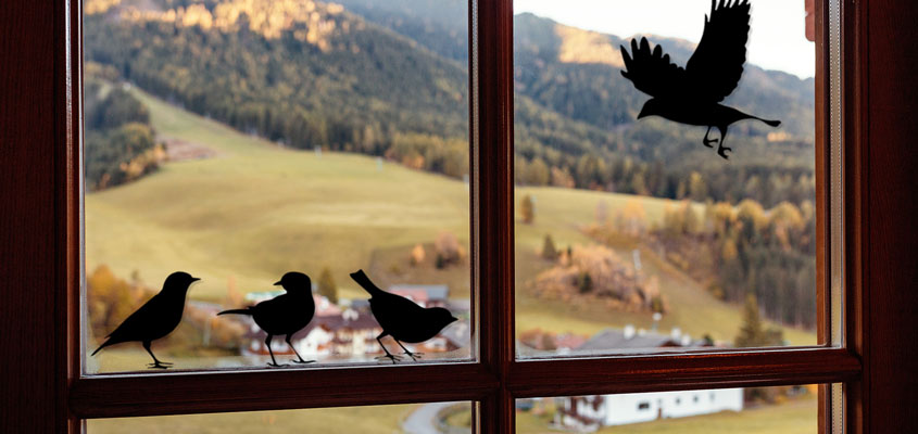 birds window decal birds-window-decal