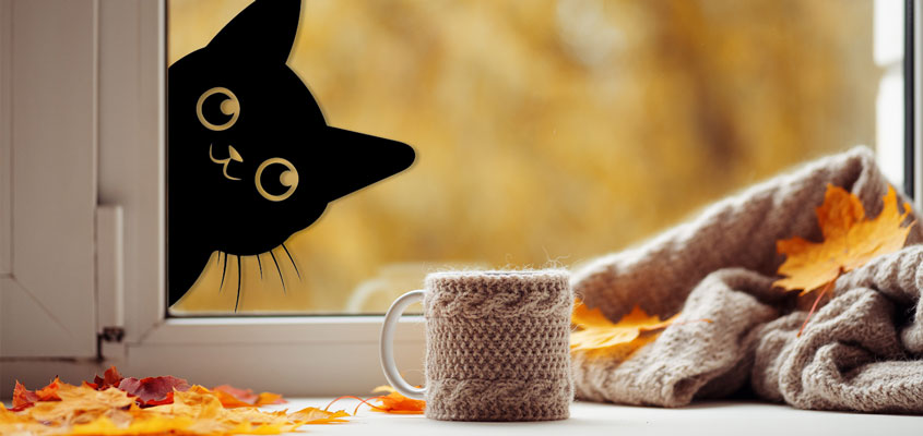 black cat window decal black-cat-window-decal