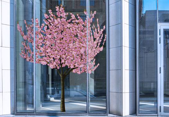 blossom window decor blossom-window-decor
