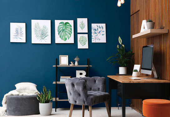 blue office wall blue-office-wall