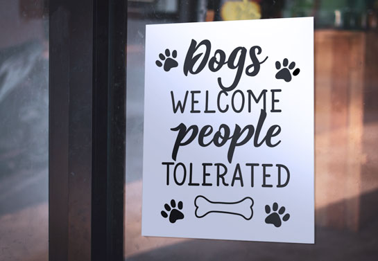 funny store window decal funny-store-window-decal