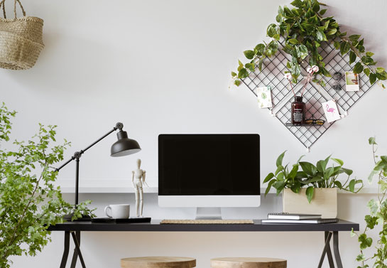 home office hanging plants home-office-hanging-plants