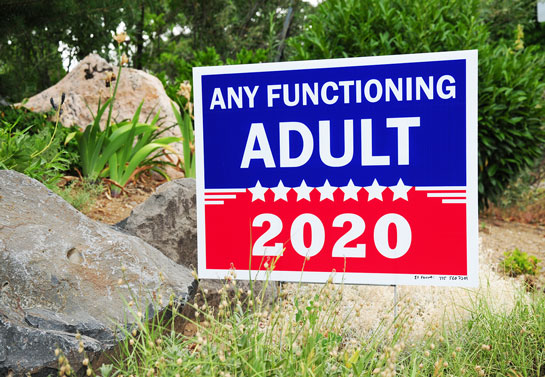 inspiring-political-sign-example
