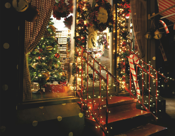 outdoor-christmas-lights