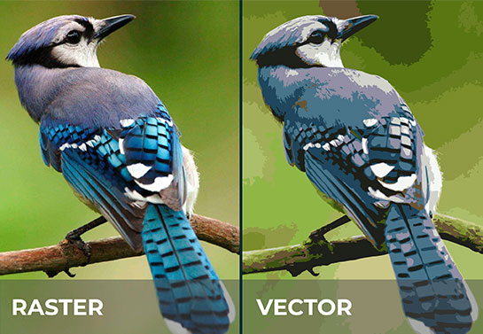 raster-vs-vector-photo