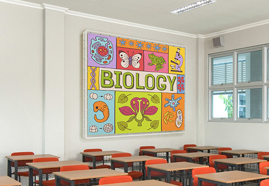 thematic classroom banner thematic-classroom-banner